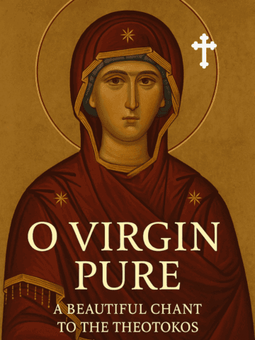 O Virgin Pure